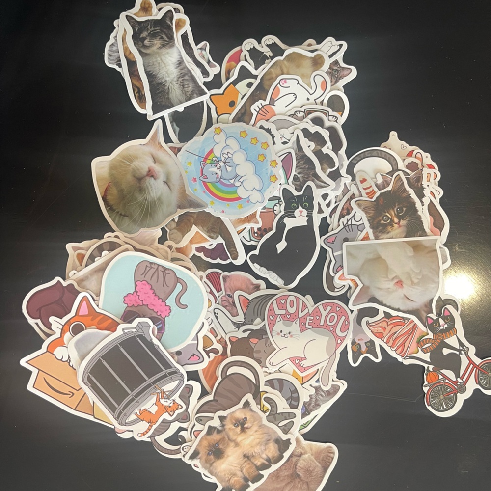 100 Cat Stickers Waterproof Random Cute Styles Cartoons Real Anime